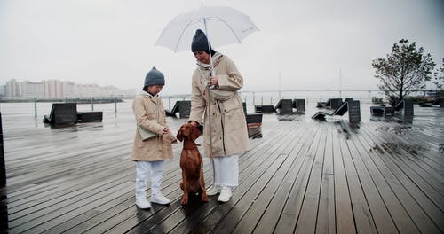 有关下雨天, 儿童, 冬衣的免费素材视频