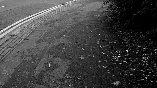 有关交通, 单色, 城市的免费素材视频