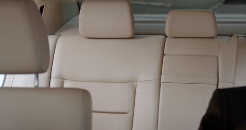 有关乘客, 偶然的人, 优雅的免费素材视频