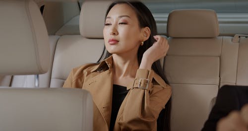 有关乘客, 偶然的人, 优雅的免费素材视频