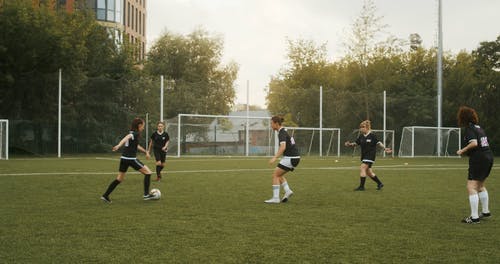 有关制服, 团队, 女子足球的免费素材视频