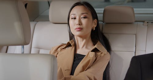 有关乘客, 偶然的人, 优雅的免费素材视频