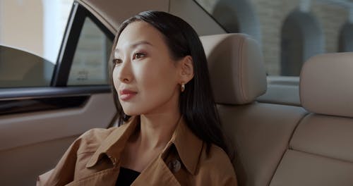 有关乘客, 优雅, 后座的免费素材视频