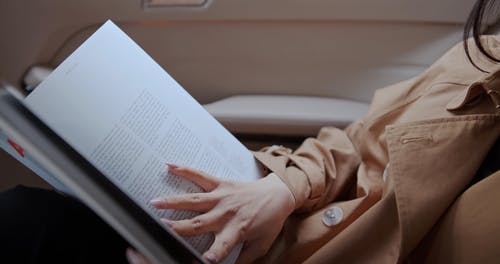 有关乘客, 优雅, 后座的免费素材视频