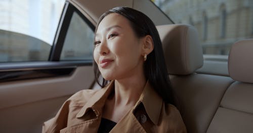 有关乘客, 优雅, 后座的免费素材视频