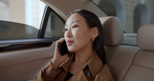 有关乘客, 优雅, 后座的免费素材视频