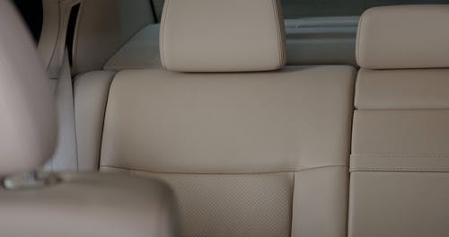 有关乘客, 人, 优雅的免费素材视频