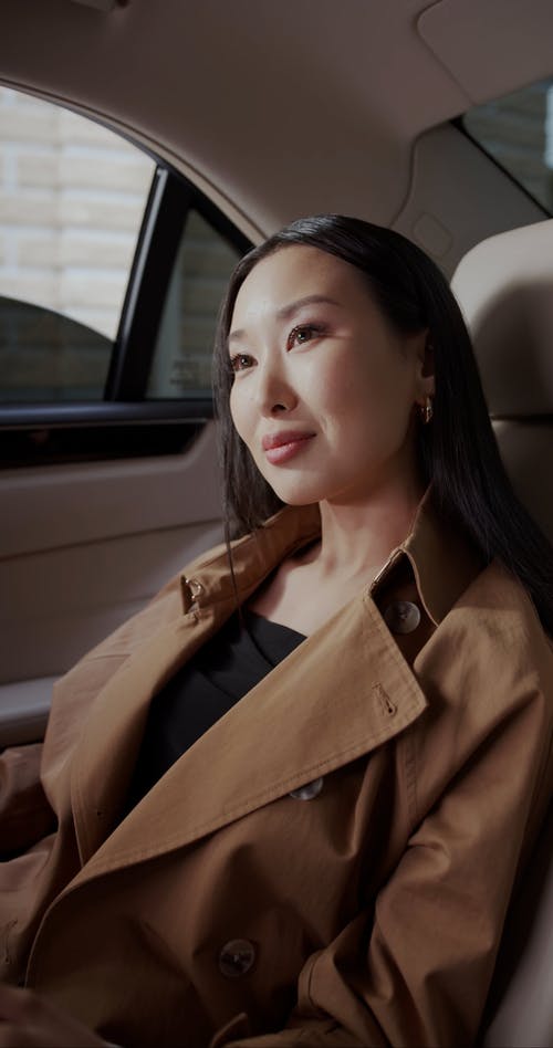 有关乘客, 优雅, 后座的免费素材视频