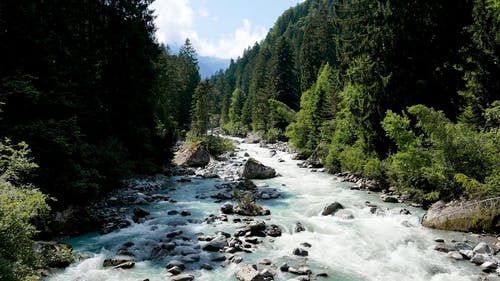 有关天性, 岩石, 树木的免费素材视频