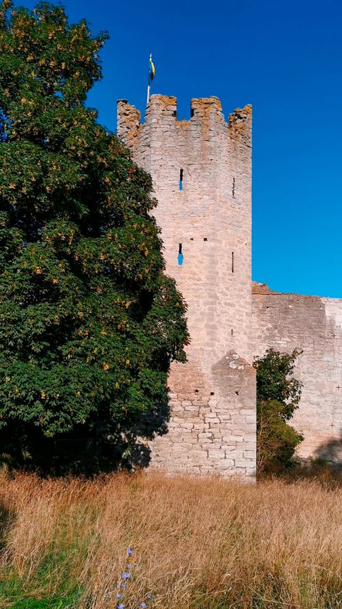 有关中世纪, 垂直视频, 城堡的免费素材视频