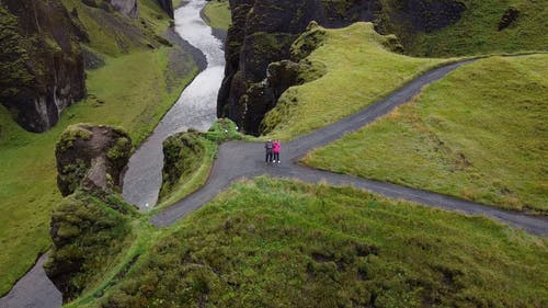 有关人, 假期, 动物的免费素材视频