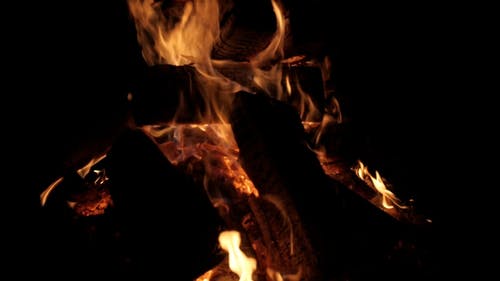 有关树林, 火, 火焰的免费素材视频