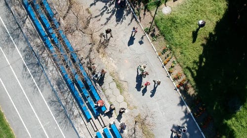 有关树木, 步行, 空中拍摄的免费素材视频