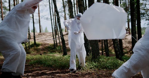 有关危险品套装, 天性, 概念的的免费素材视频