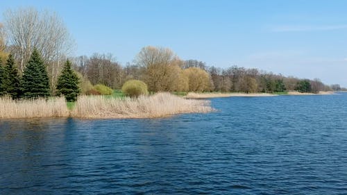 有关户外, 景观, 树的免费素材视频