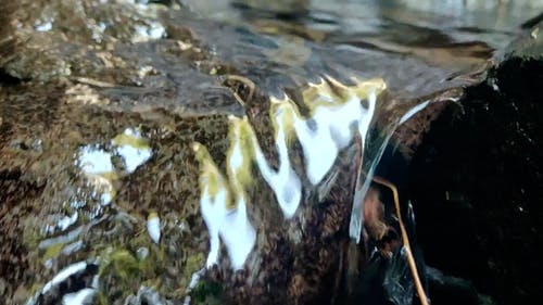 有关向上倾斜, 天性, 户外的免费素材视频