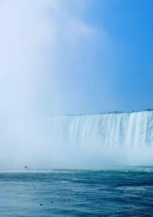 有关H2O, 加拿大, 垂直视频的免费素材视频