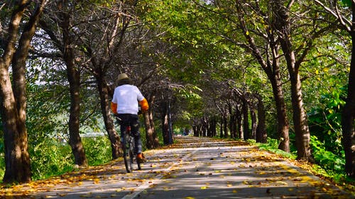 有关人, 减少观点, 后视图的免费素材视频