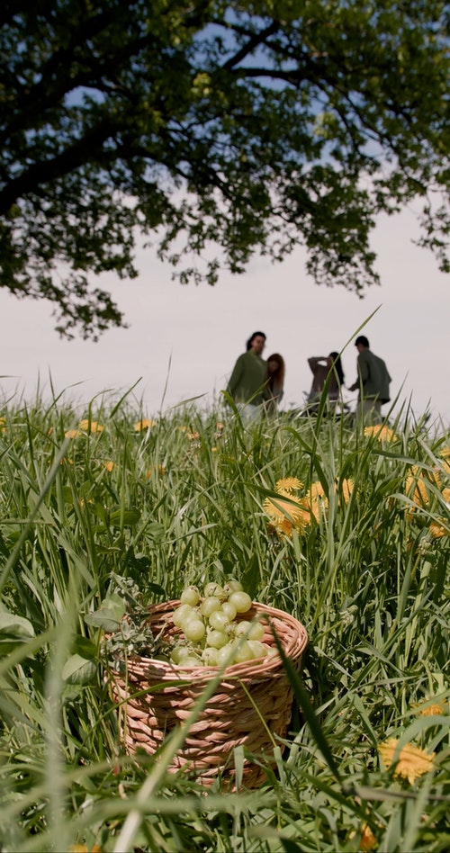 有关人,低角度视图,垂直视频的免费素材视频