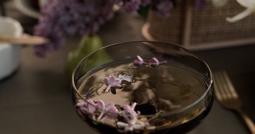 有关喝, 室内, 没有人的免费素材视频