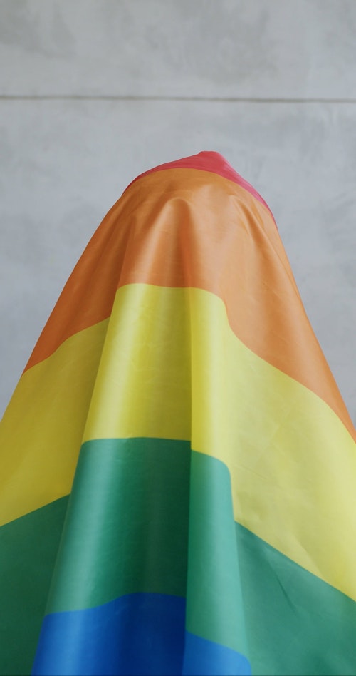裹着彩虹旗的女人 · 免费素材视频