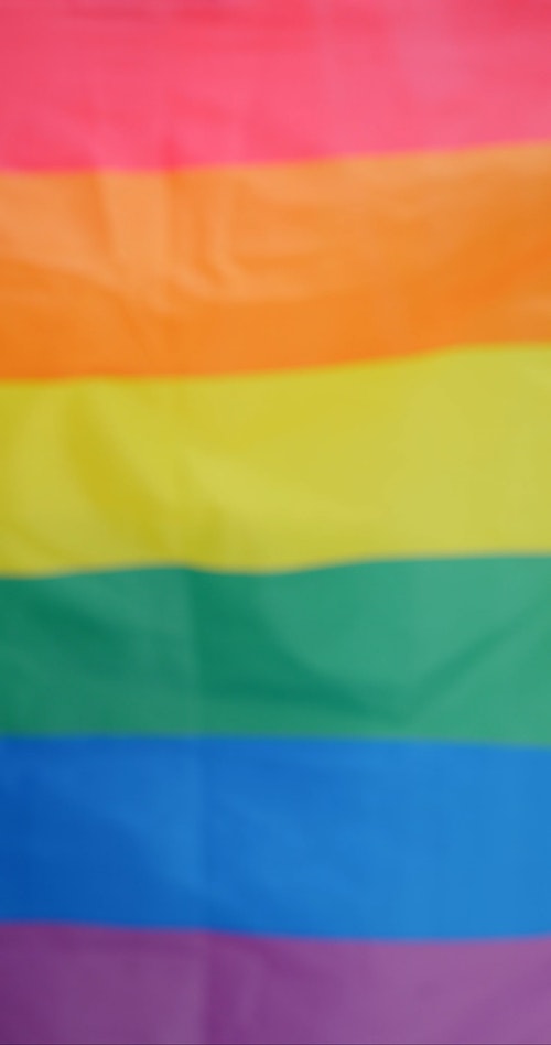 有关一起,同志文化,垂直视频的免费素材视频