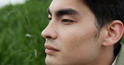 有关一对, 亲热, 人的免费素材视频