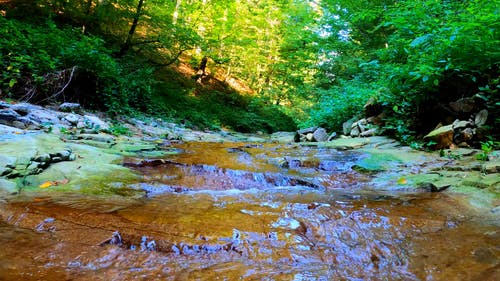 有关夏天, 天, 天性的免费素材视频