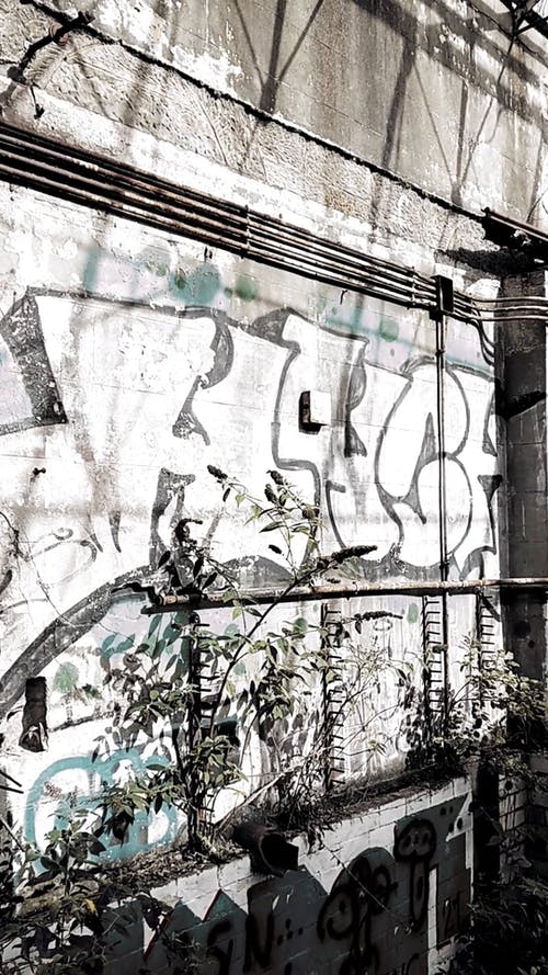 有关室内, 建筑内部, 放弃的免费素材视频