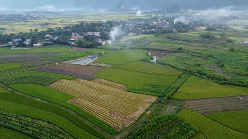 有关农业领域, 城镇, 天的免费素材视频