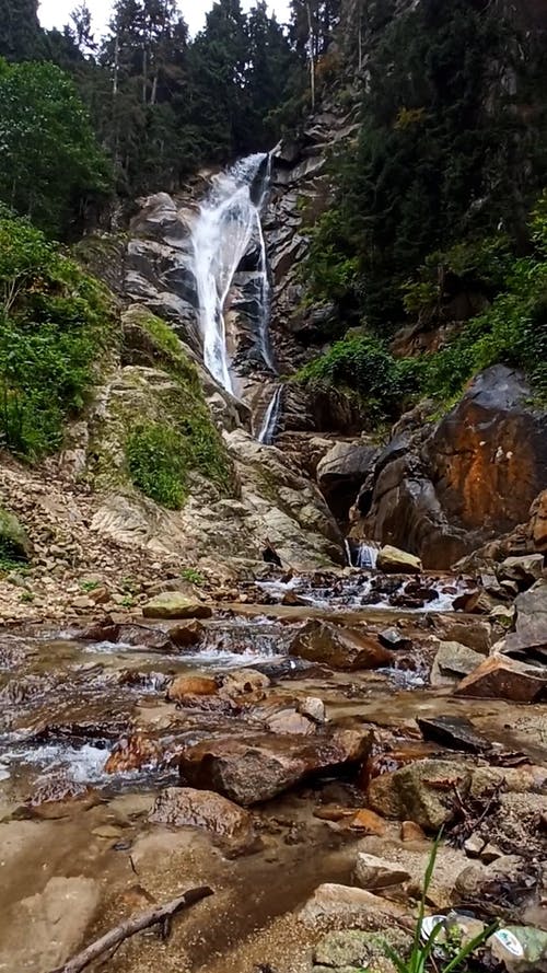 有关垂直视频, 户外, 景观的免费素材视频