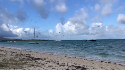 有关偶然的人, 冒险, 夏天的免费素材视频