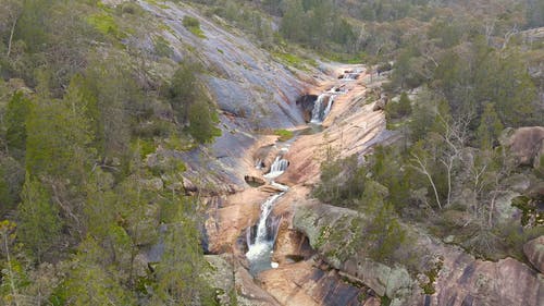 有关和平的, 天性, 小河的免费素材视频