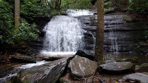 有关天性,性质,慢动作的免费素材视频
