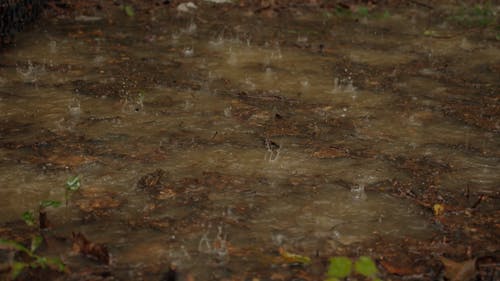 有关天气, 户外, 水的免费素材视频