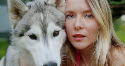 有关动物, 女人, 宠物的免费素材视频