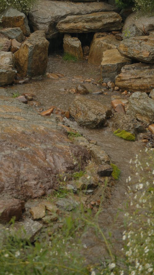 有关垂直视频, 天气, 小的免费素材视频