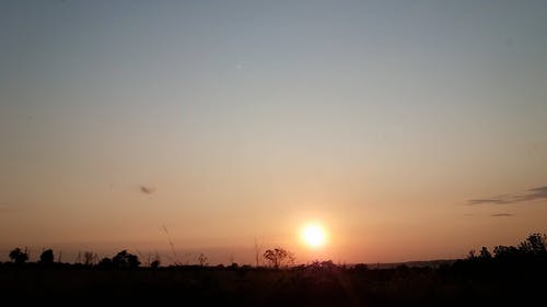 有关侧面图, 剪影, 包包的免费素材视频