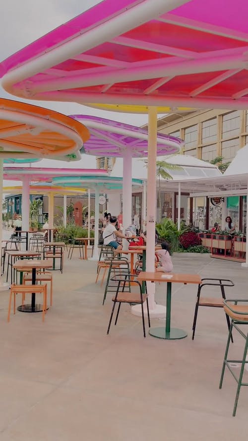 有关偶然的人, 啤酒花园, 垂直视频的免费素材视频