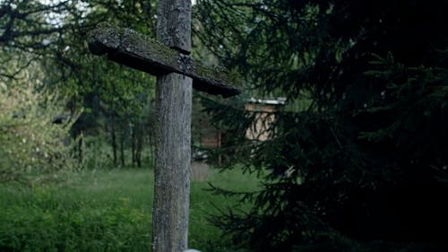 有关丧亲之痛, 人, 倚的免费素材视频