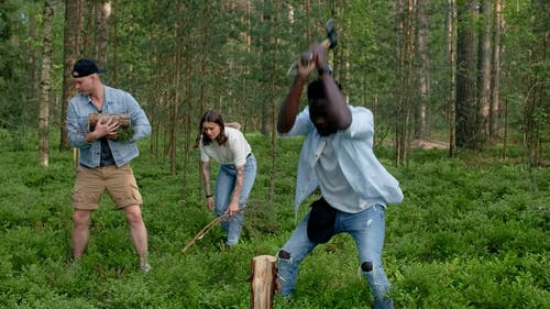 有关切割, 原本, 天性的免费素材视频