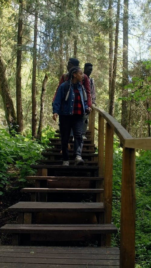 有关中等人群, 冒险, 垂直视频的免费素材视频