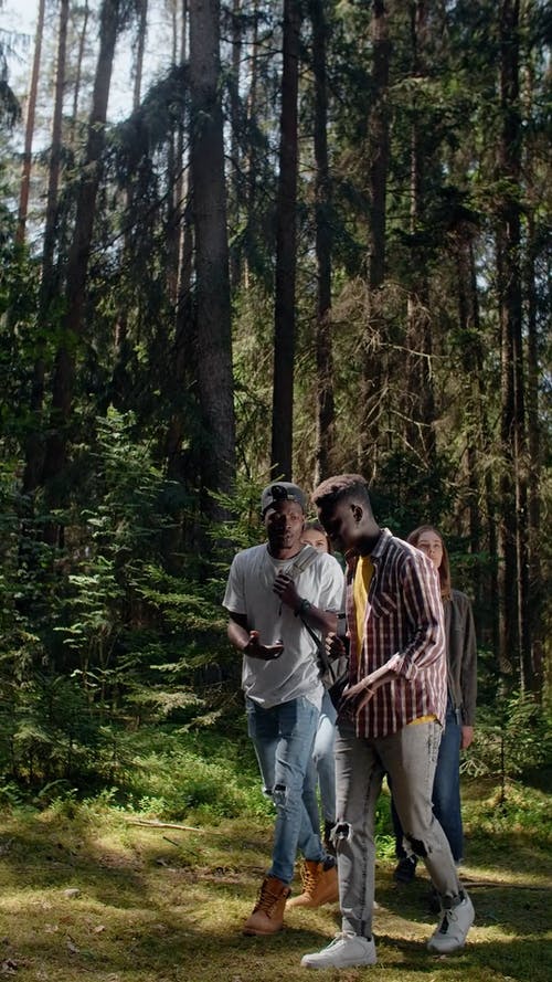 有关勘探, 垂直视频, 多样化的免费素材视频