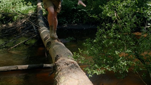 有关原本,工厂,木的免费素材视频