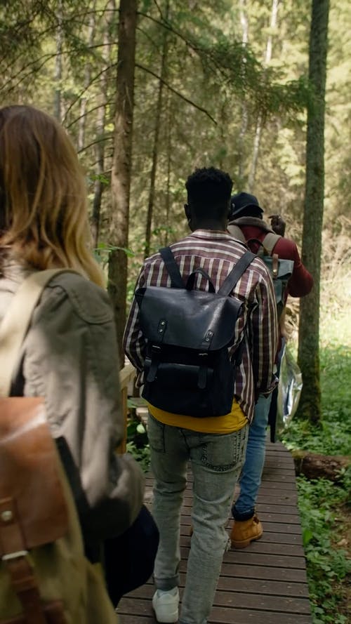 有关人, 冒险, 垂直视频的免费素材视频