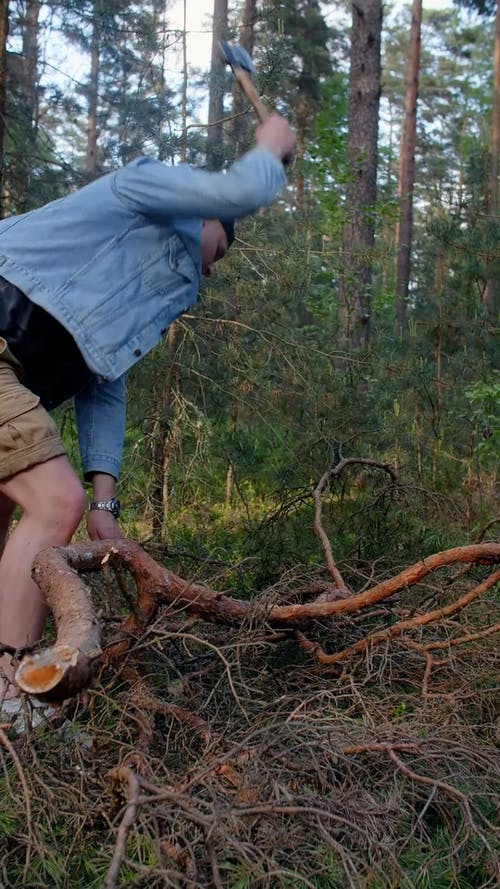 有关人, 切割, 垂直视频的免费素材视频