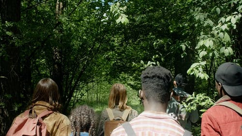 有关中等人群, 冒险, 后视图的免费素材视频