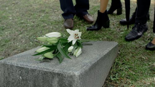 有关墓园, 特写, 纪念公园的免费素材视频