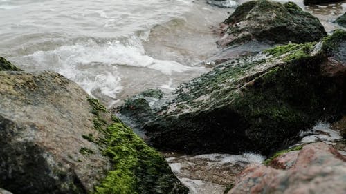 有关岩石海岸, 慢动作, 招手的免费素材视频