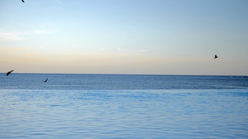 有关水,海,海洋的免费素材视频